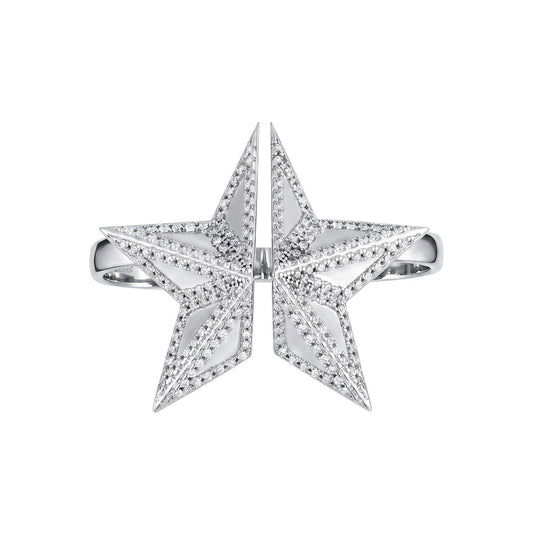 The STAR